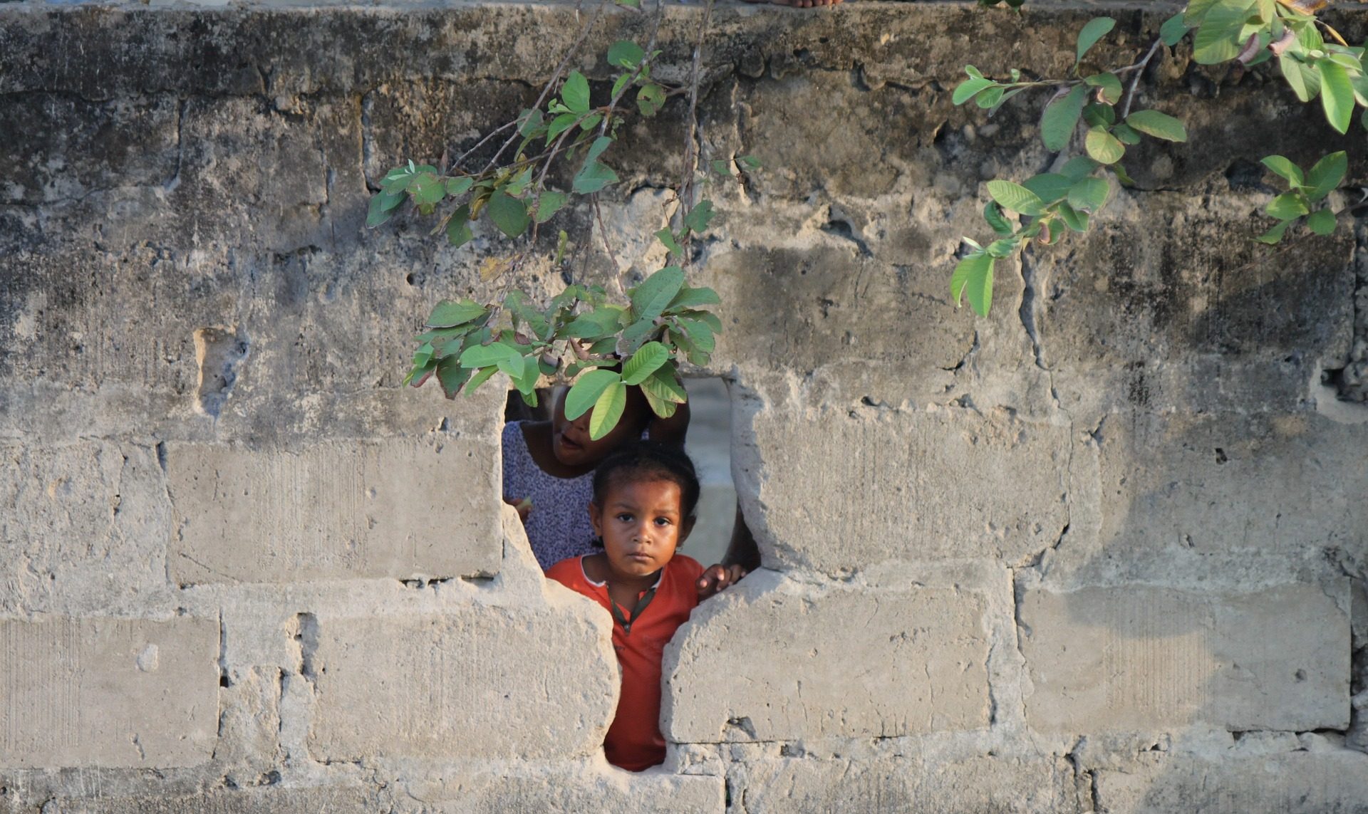 cropped-africa-g983c6fa37_1920.jpg